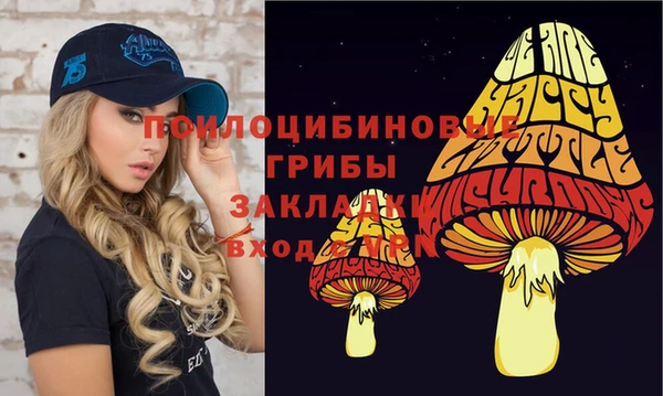 скорость Кинешма