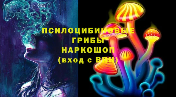 твердый Козловка