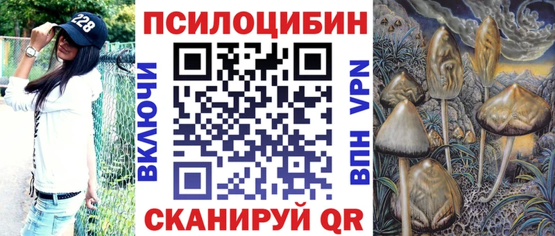 Галлюциногенные грибы Psilocybine cubensis  Купить закладки  Амурск 